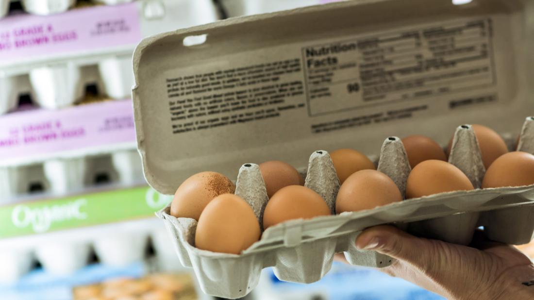 «Без клетки» и «Пастбище» против «свободного выгула»