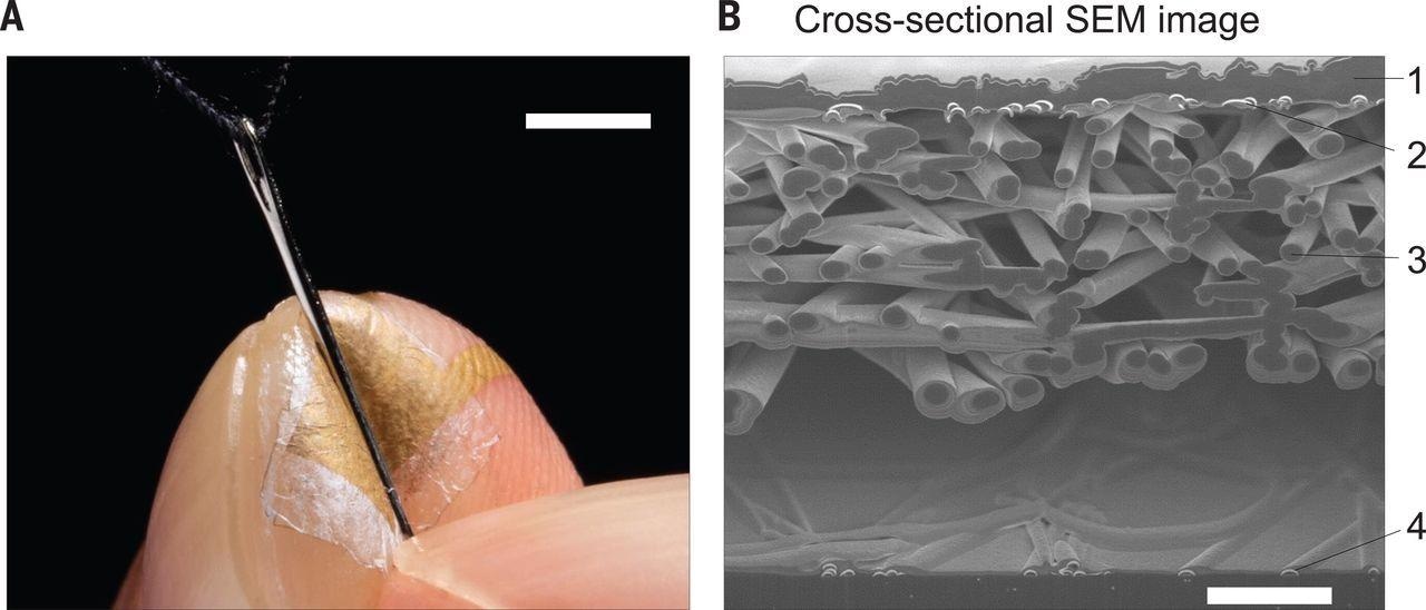 Датчики давления Nanomesh - это человеческое прикосновение Датчики давления Nanomesh - это человеческое прикосновение