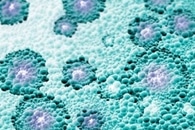 Эффективность полимерных нано-мицелл зависит от уровня экспрессии c-Myc Эффективность полимерных нано-мицелл зависит от уровня экспрессии c-Myc