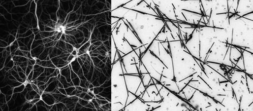 Искусственная сеть нанопроводов может реагировать как мозг