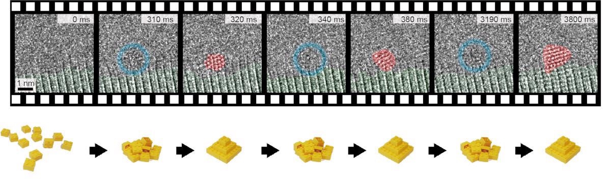 Исследование показывает, как нанокристаллы самоорганизуются в стабильное состояние Исследование показывает, как нанокристаллы самоорганизуются в стабильное состояние