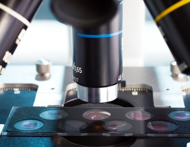 Исследование раскрывает механизм трансляции наследуемого по материнской линии митохондриального генома