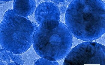Исследования прокладывают путь к созданию нано-сенсоров для клеток