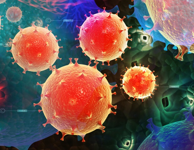 Исследователи идентифицировали шесть «слов», используемых специфическими иммунными клетками для вызова генов иммунной защиты