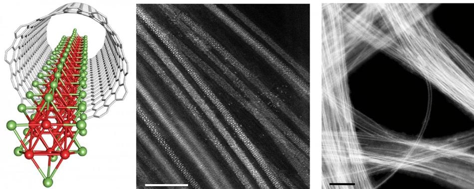 Исследователи используют шаблоны углеродных нанотрубок для производства изолированных нанопроволок TMM