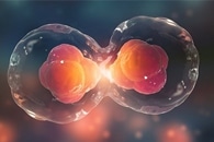 Исследователи используют золотые наночастицы для поиска костных стволовых клеток