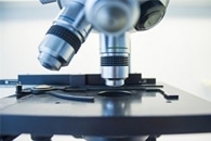 Исследователи находят способ повысить чувствительность существующих технологий микроскопии Исследователи находят способ повысить чувствительность существующих технологий микроскопии