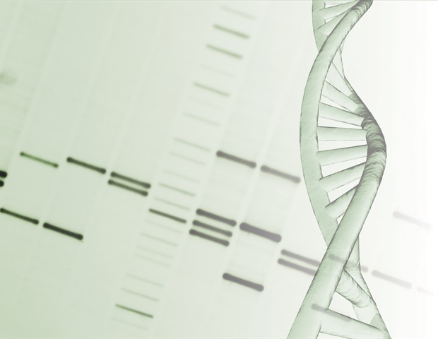 Исследователи создают новый полимер для лечения заболеваний на основе ДНК и РНК