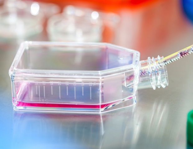 Исследователи стремятся разработать новую технику культивирования клеток, чтобы заменить испытания на животных Исследователи стремятся разработать новую технику культивирования клеток, чтобы заменить испытания на животных