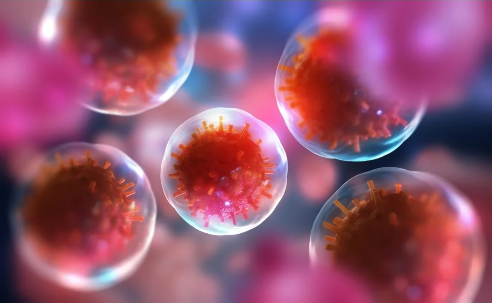 Как мы сюда попали, куда мы идем? Как мы сюда попали, куда мы идем?