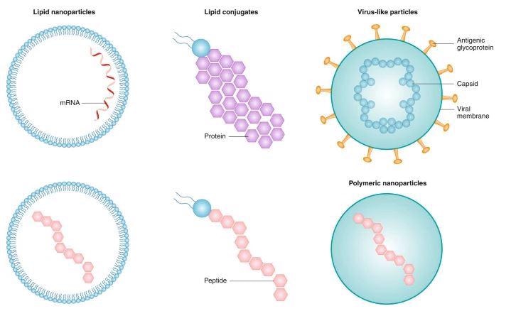 Как нанотехнологии помогли создать мРНК вакцины против COVID-19 Как нанотехнологии помогли создать мРНК вакцины против COVID-19