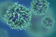 Механическая деформация может убить бактерии с помощью наночастиц золота