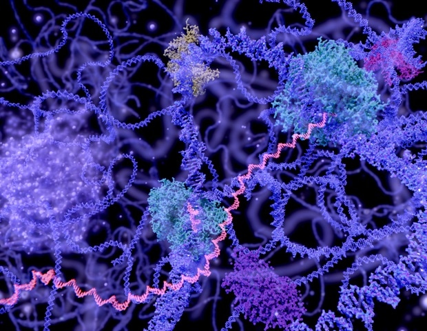 Новая платформа интегративного генетического скрининга предлагает понимание роли доступности ДНК при раке