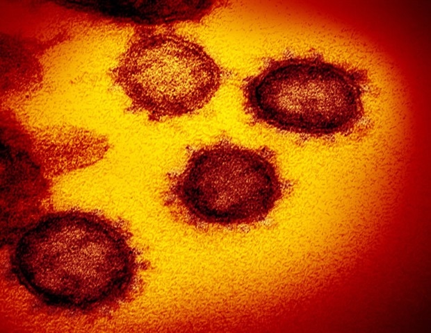 Новая система анти-COVID-19 потенциально может бороться с другими вирусами