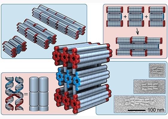 Новая теория конструкции для управления длиной самосборных наноботов Новая теория конструкции для управления длиной самосборных наноботов