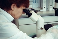 Новое исследование может произвести революцию в области флуоресцентной микроскопии на протяжении всей жизни Новое исследование может произвести революцию в области флуоресцентной микроскопии на протяжении всей жизни