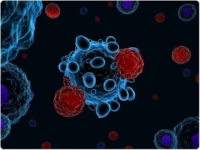 Новое исследование раскрывает «сцепляющие» белки, ответственные за включение «активации» Т-клеток