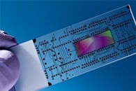 Новые линейные наномоторы можно перемещать в контролируемых направлениях с помощью света Новые линейные наномоторы можно перемещать в контролируемых направлениях с помощью света