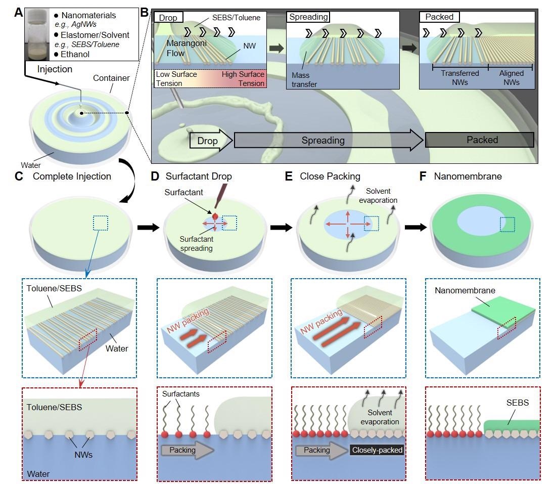 Новый метод поплавковой сборки для изготовления наномембраны электроники обшивки