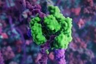 Новый тест «Нано-попкорн» может помочь в борьбе со вспышками респираторного вируса Новый тест «Нано-попкорн» может помочь в борьбе со вспышками респираторного вируса