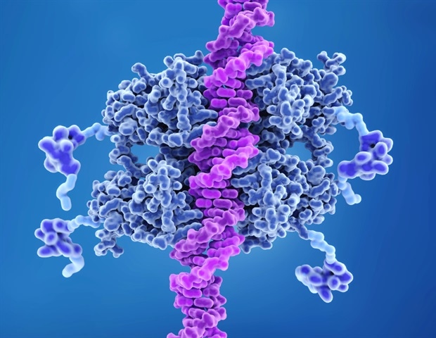 p53 может играть более важную роль в раке почки, чем считалось ранее