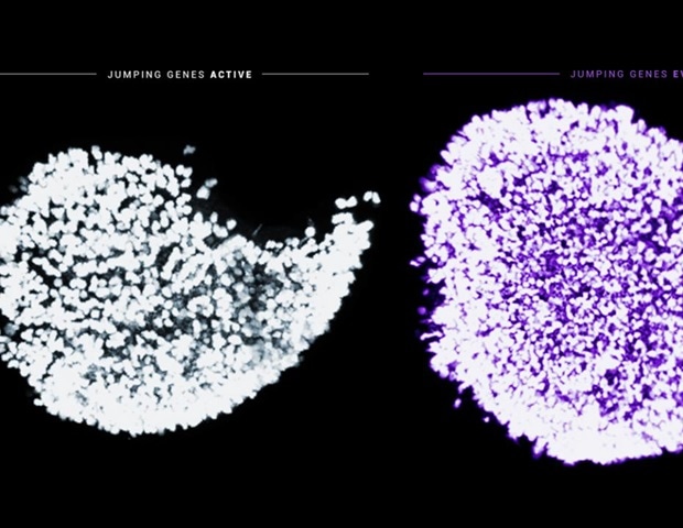 «Прыгающие гены» в яйцах определяют их выживание