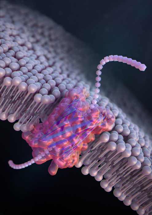 Разработанные компанией De Novo нанопоры для ДНК, обнаружения белков