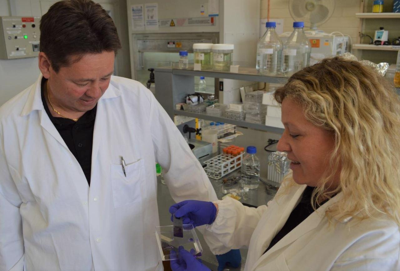 Решения для повышения биозащищенности мировых судоходных каналов Решения для повышения биозащищенности мировых судоходных каналов