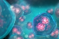 Стабилизированные нанобулами липосомы эффективно доставляют химиотерапевтические препараты в раковые клетки
