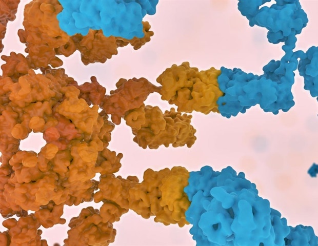 Ученые выделяют отдельные клетки, которые вызывают аутоиммунное заболевание