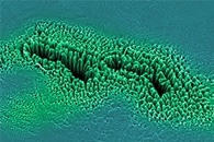 Уникальные липидные наночастицы могут упаковывать и доставлять оборудование для редактирования генов в печень Уникальные липидные наночастицы могут упаковывать и доставлять оборудование для редактирования генов в печень