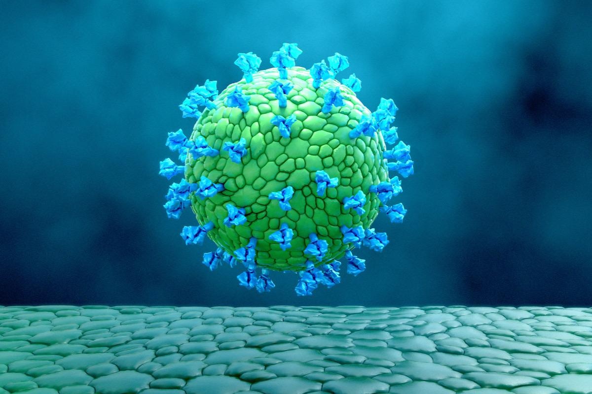 Вакцины на основе вирусоподобных частиц растительного происхождения против SARS-CoV-2