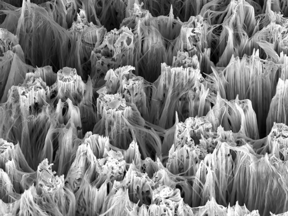 Взгляд на изогнутые нанопроволоки